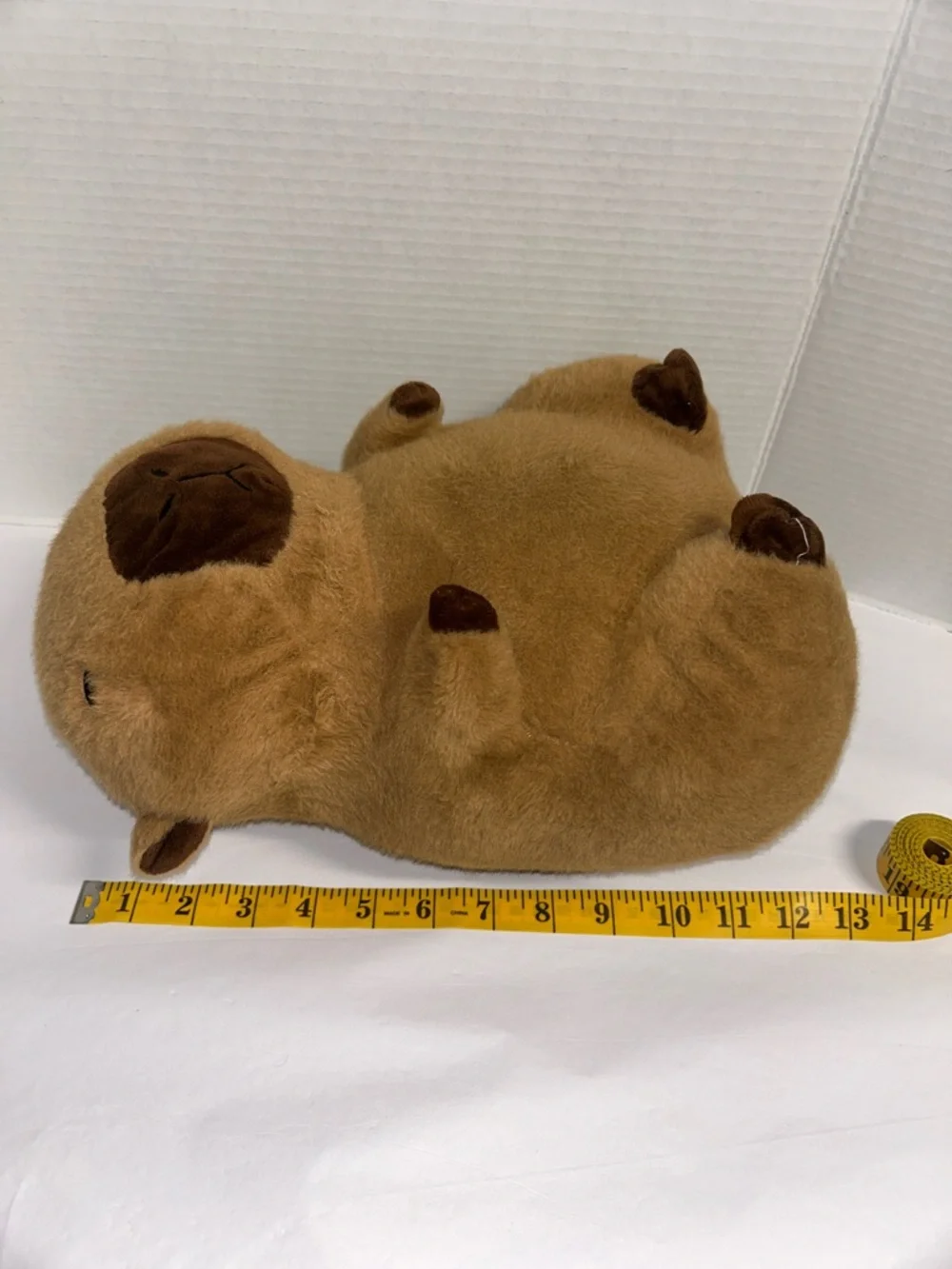 capybara soft brown